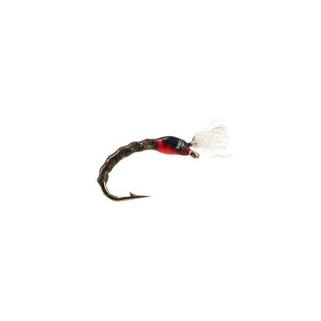 Pedros Dark Olive Buzzer