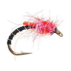 Red Black Uv Dub Buzzer