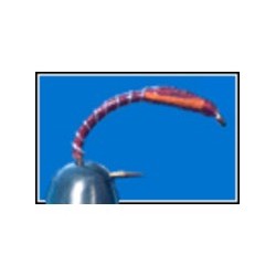 Superglue Buzzer Claret