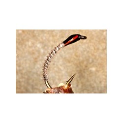 Tan Turkey Biot Buzzer