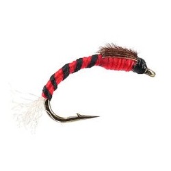 Toms Red Dark Uv Buzzer