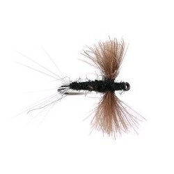 Black Spent CDC Wings Bl