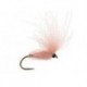 CDC Arpo Salmon