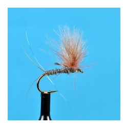 CDC Biot Compara Dun Adams