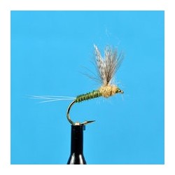 CDC Biot Compara Dun Bwo