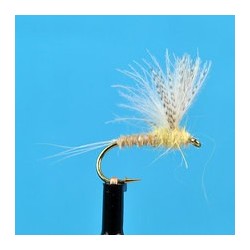 CDC Biot Compara Dun Light Cahill