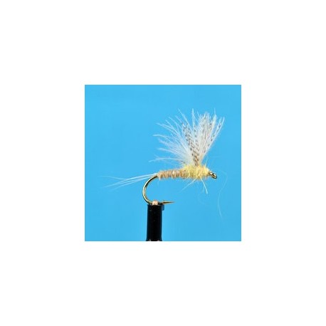 CDC Biot Compara Dun Light Cahill