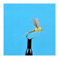 CDC Biot Compara Dun Pmd