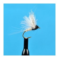 CDC Biot Compara Dun Trico Female