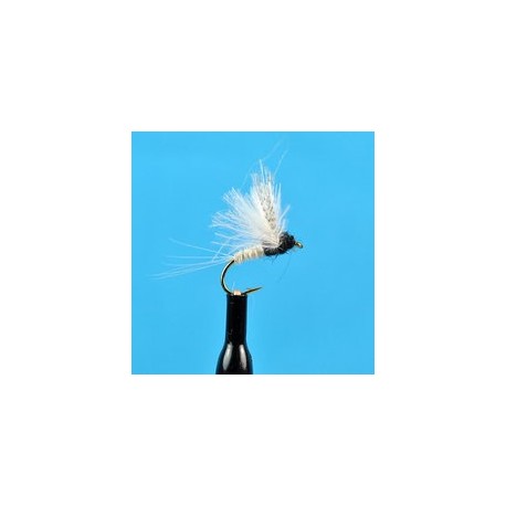 CDC Biot Compara Dun Trico Female