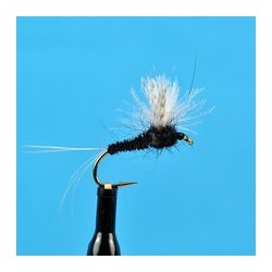 CDC Biot Compara Dun Trico Male