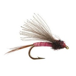 CDC Biot Comparadun Pink Dun