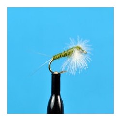 CDC Biot Spinner Bwo