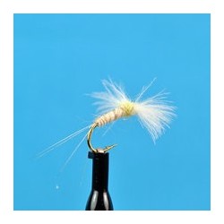 CDC Biot Spinner Light Cahill