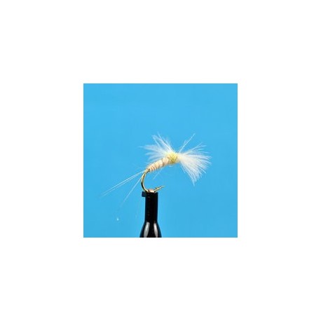 CDC Biot Spinner Light Cahill