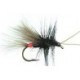 CDC Black Sedge