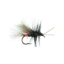 CDC Black Sedge