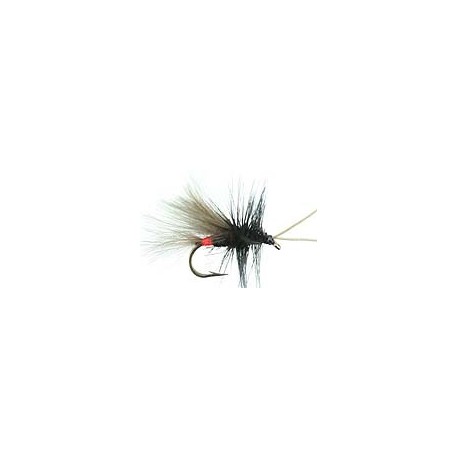 CDC Black Sedge