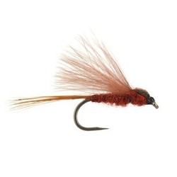 CDC Brown Bl