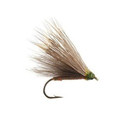 CDC Brown Superfloating Caddis