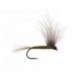 CDC Bwo Olive