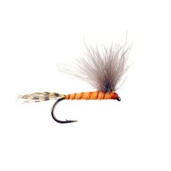 CDC Bwo Orange