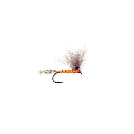 CDC Bwo Orange