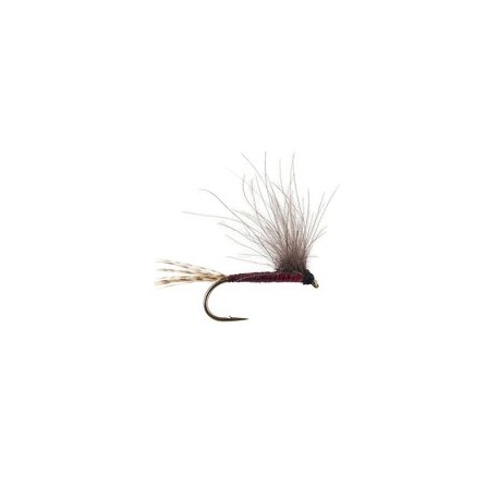 CDC Bwo Red