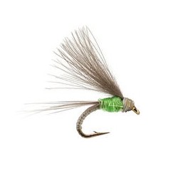 CDC Bwo Emerger