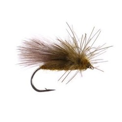 CDC Caddis Olive