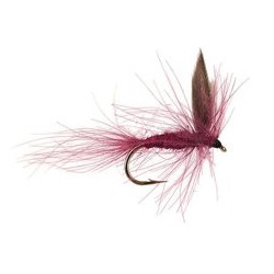 CDC Claret Winged Dry