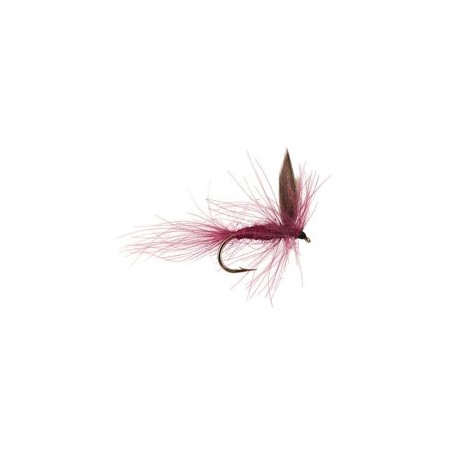CDC Claret Winged Dry