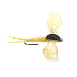 CDC Cripple E Cripple