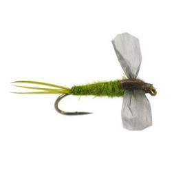 CDC Cripple Medium Olive