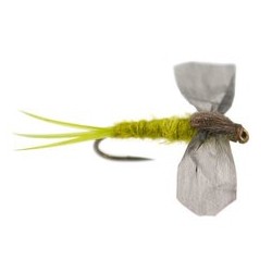 CDC Cripple Pale Olive