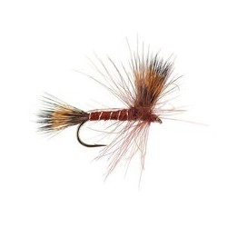 CDC Dry Brown