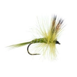 CDC Dry Pale Olive