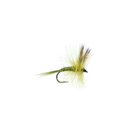 CDC Dry Pale Olive