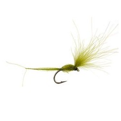 CDC Dry Wonder Dark Olive