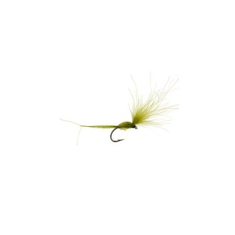 CDC Dry Wonder Dark Olive