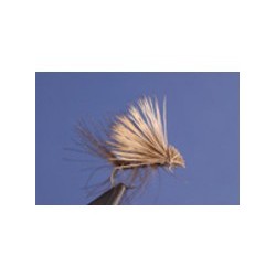 CDC Dun Elk Caddis