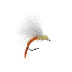 CDC Emerger Pmd