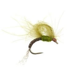 CDC Emerger Olive Bl