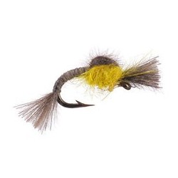 CDC Favourite Yellow Suspender