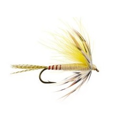 CDC French Partridge