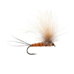 CDC Full Parachute (H