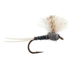 CDC Grey Baetis