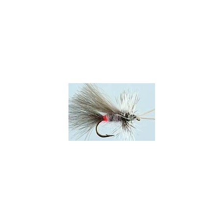 CDC Grizzley Sedge