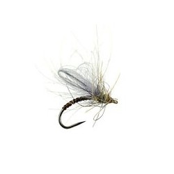 CDC Italian Dun Emerger Bl