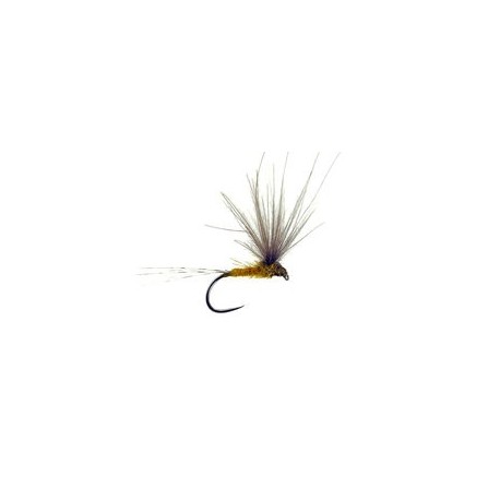 CDC Italian Splitwing Golden Olive Bl